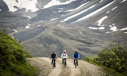 Alaska Biking Safety