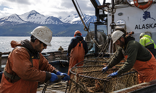 Alaska Maritime Injury Terms